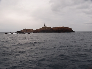 t_PB032246.jpg