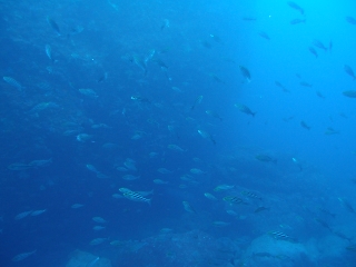t_PB032256.jpg