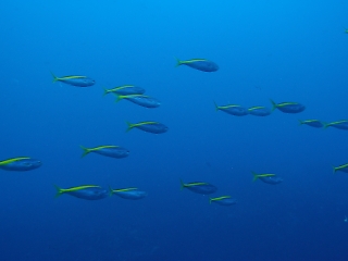 t_PB032260.jpg