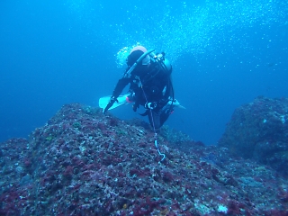 t_PB032289.jpg