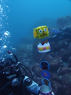 t_PB052548.jpg