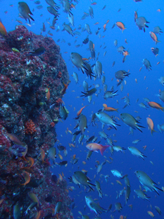 t_PB122611.jpg