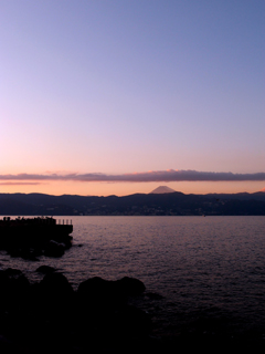 t_PB262887.jpg